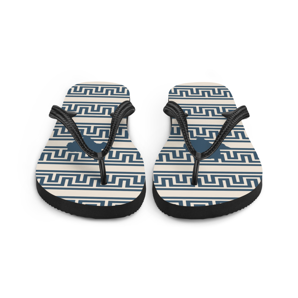 Navy and cream Flip Flops with Texas silhouettes and a Meander pattern, front view
