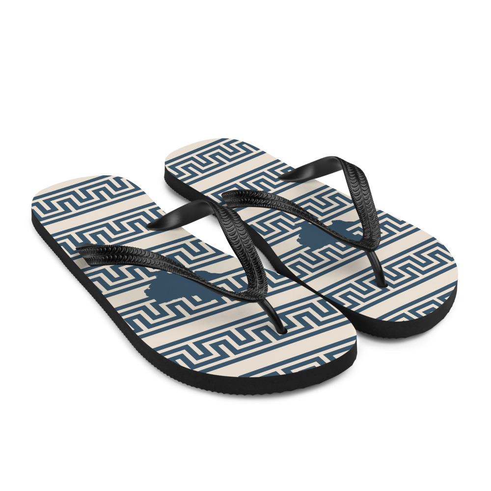 Navy and cream Flip Flops with Texas silhouettes and a Meander pattern, front right view